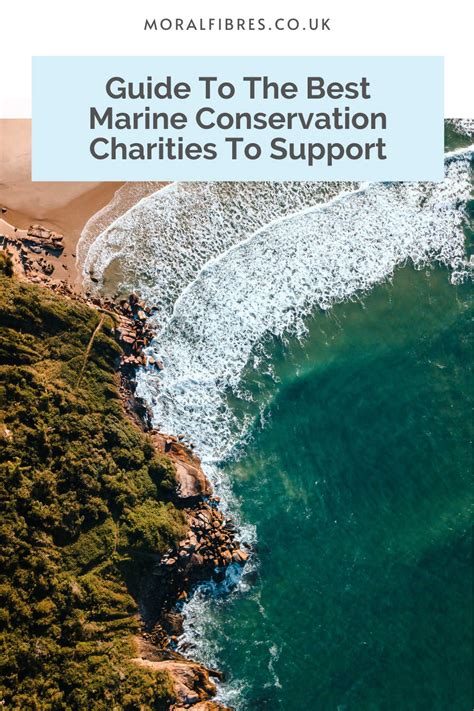 best ocean conservation charities|Home .